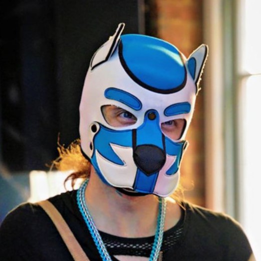 Pup Apollo